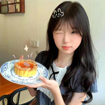 大使阁下的料理人